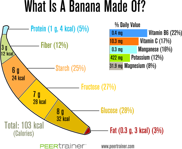 Grams Of Fat In A Banana 52